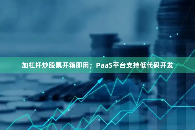 加杠杆炒股票开箱即用；PaaS平台支持低代码开发