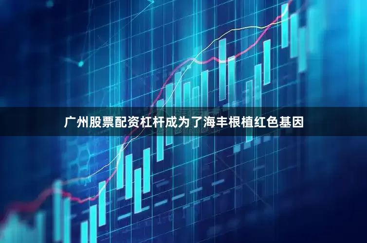 广州股票配资杠杆成为了海丰根植红色基因