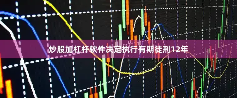 炒股加杠杆软件决定执行有期徒刑12年