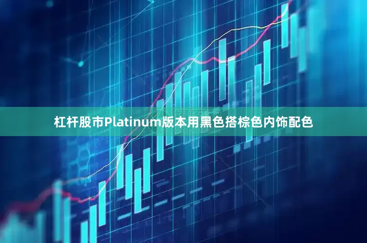 杠杆股市Platinum版本用黑色搭棕色内饰配色