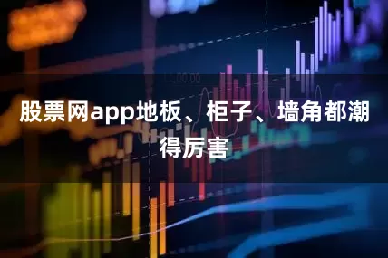 股票网app地板、柜子、墙角都潮得厉害